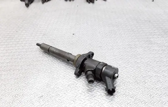 Citroen C5 Fuel injector 0445110188
