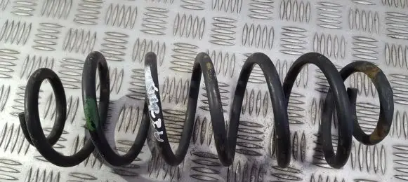 Rear coil spring