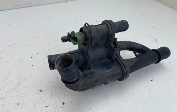 Thermostat/thermostat housing