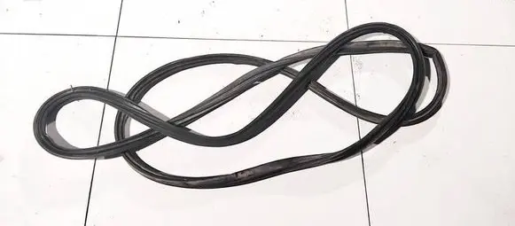 Nissan Murano Z50 Rubber seal front coupe door 