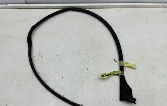 Peugeot 5008 II Front door rubber seal