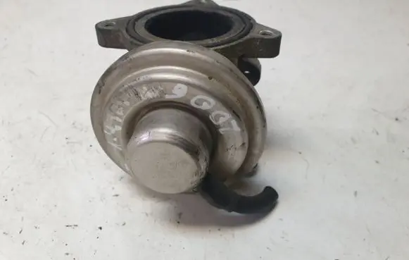 Volkswagen Polo EGR valve 045131501K