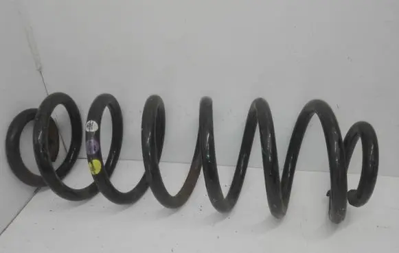 Volkswagen PASSAT B6 Rear coil spring