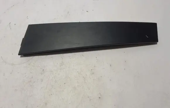 Rear door trim (molding)