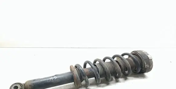 BMW X3 F25 Rear shock absorber with coil spring 6796422 33526796422