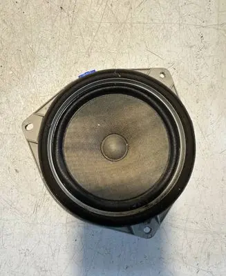 Rear door speaker
