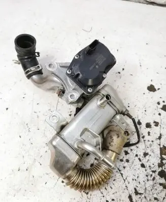 Renault Scenic III - Grand scenic III EGR valve 147100789R H8201068965 VN1201000101