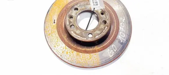 Citroen C5 Rear brake disc neventiliuojamas