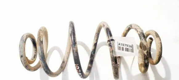 Rear coil spring