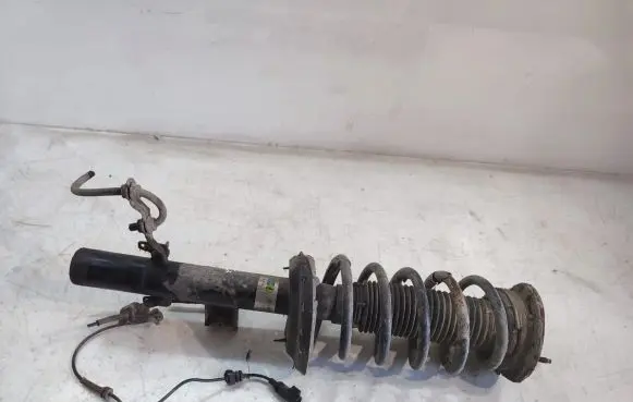 Land Rover Freelander 2 - LR2 Rear shock absorber with coil spring 