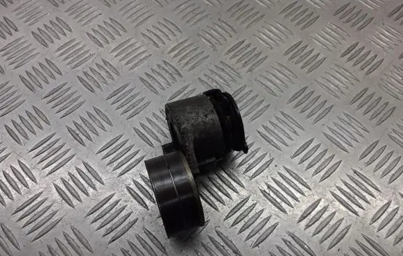 Renault Scenic II - Grand scenic II Alternator belt tensioner pulley 072120628