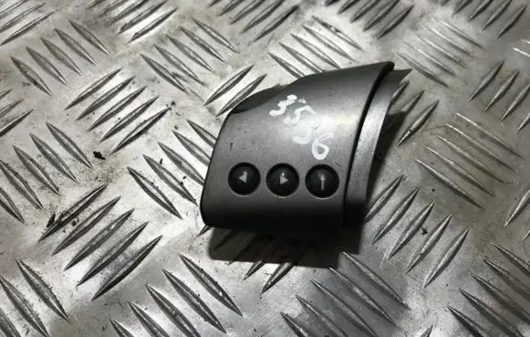 Multifunctional control switch/knob