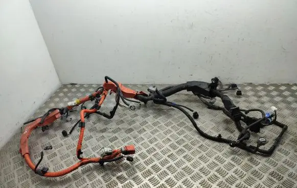 Lexus NX Engine installation wiring loom 8212178050