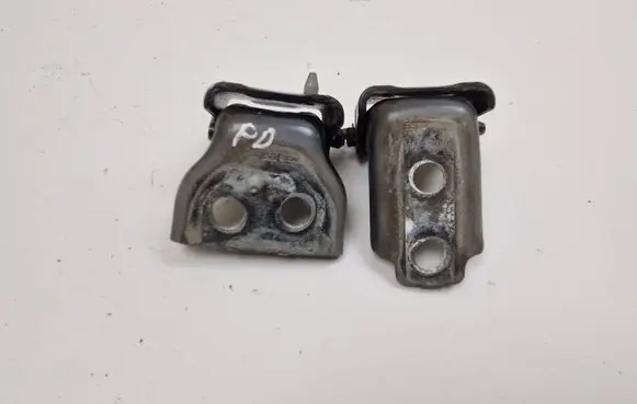 Citroen DS3 Front door hinge set A075091