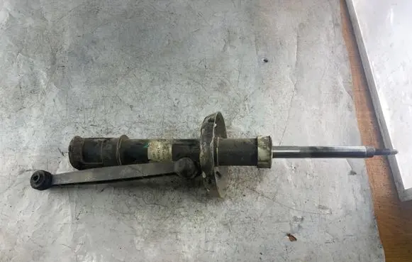 Opel Zafira A Front shock absorber/damper 22194342 24434747