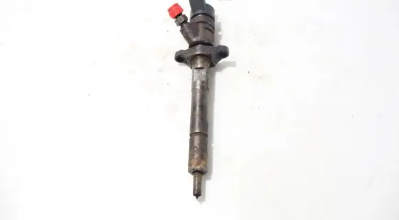 Peugeot Partner Fuel injector 0445110239