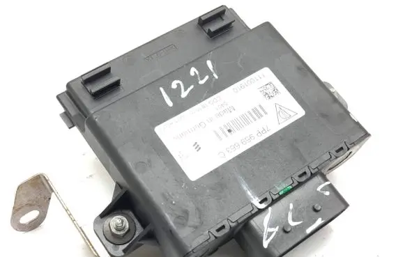 Porsche Cayenne (92A) Other control units/modules 7PP959663C CDG181010 111001910