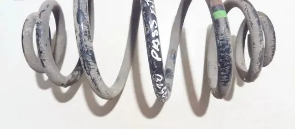 Volkswagen PASSAT B5.5 Rear coil spring