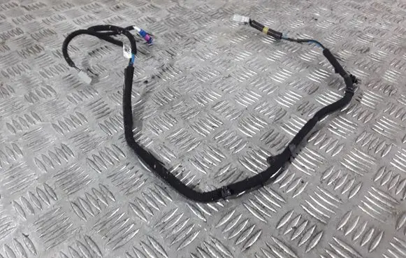 Other wiring loom