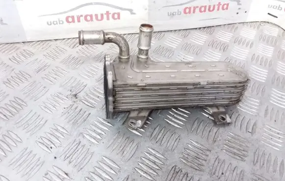 Skoda Octavia Mk2 (1Z) EGR valve cooler 038131513AD