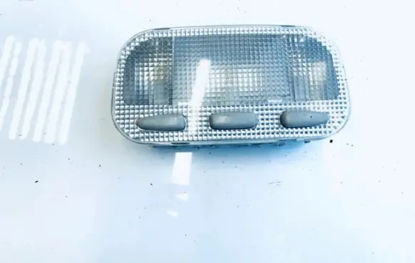 Peugeot 407 Front seat light