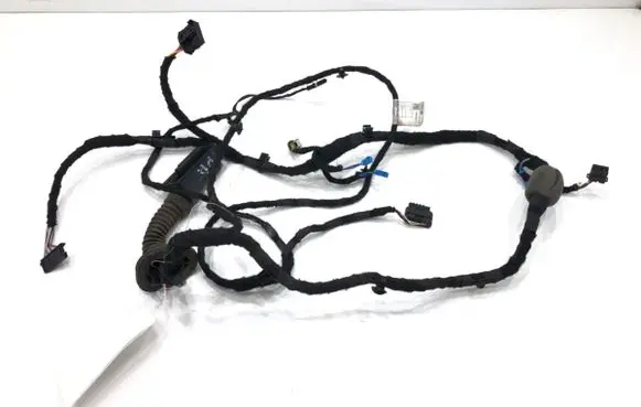 Front door wiring loom