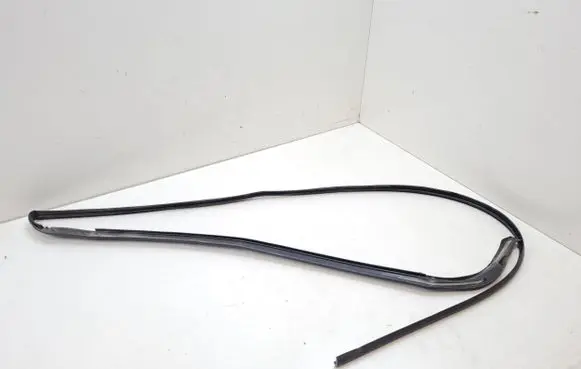 Tesla Model S Rubber seal front door (on door) TMSSR02