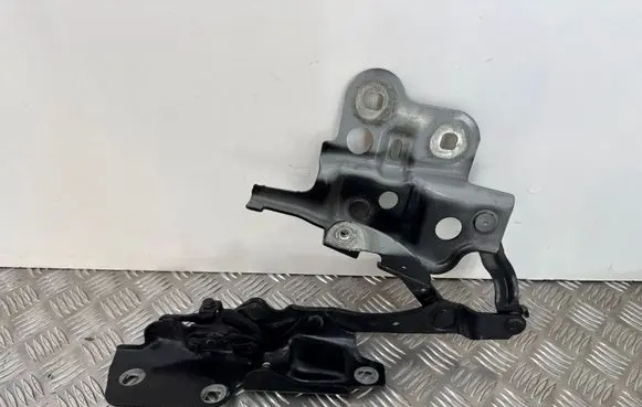 Jaguar E-Pace Engine bonnet/hood hinges J9C316801AA