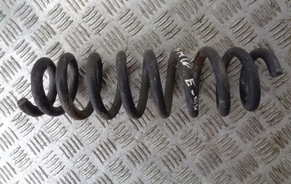 Rear coil spring