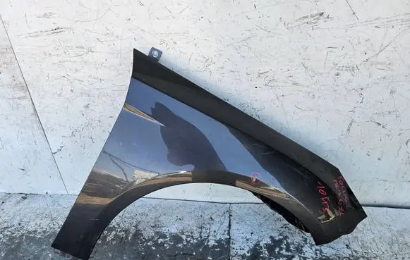 Ford Focus Fender