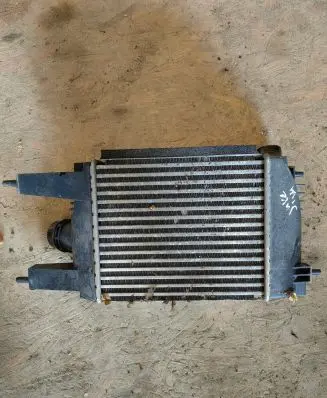 Nissan Juke I F15 Intercooler radiator 144613ZU0B