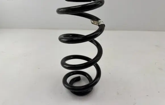 Rear coil spring