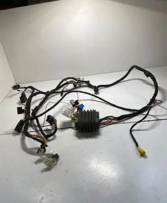 Mercedes-Benz CLK A209 C209 Front door wiring loom A2095405306