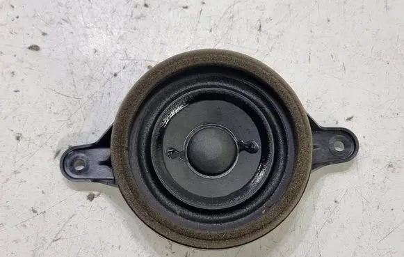 Front door high frequency speaker