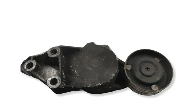 Volkswagen Golf IV Generator/alternator belt tensioner 950434