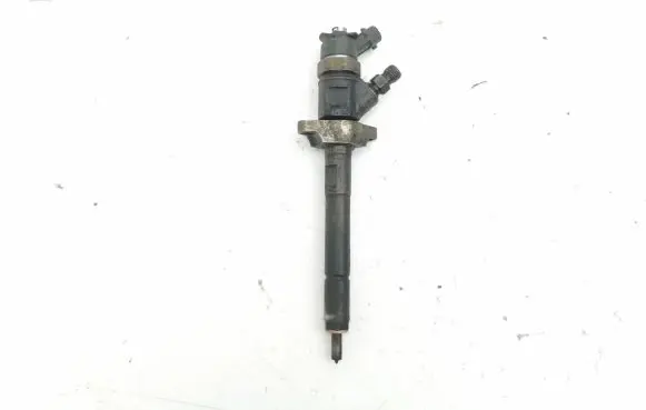 Citroen C5 Fuel injector 620026 0445110297