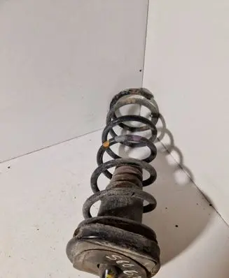 Rear coil spring