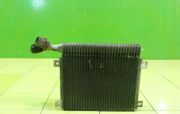 Jaguar XF X250 Coolant radiator 9X238D048AD