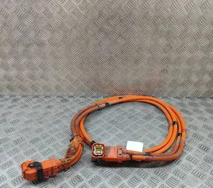 Tesla Model 3 Other wiring loom 110900300D