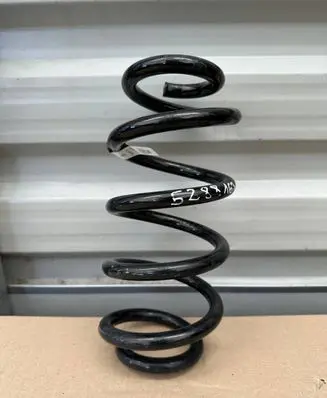 BMW X1 U11 Rear coil spring 8838147