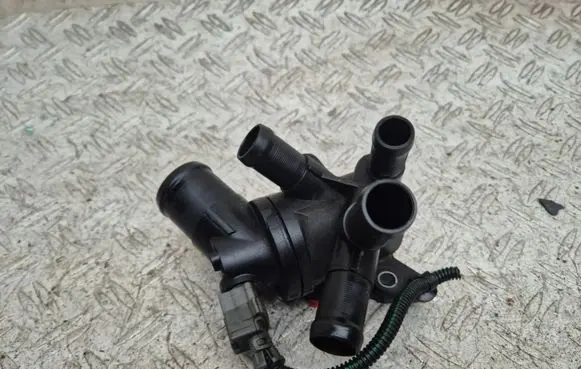 Thermostat/thermostat housing