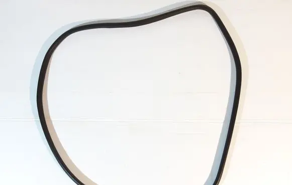 Nissan Juke II F16 Rear door rubber seal (on body)