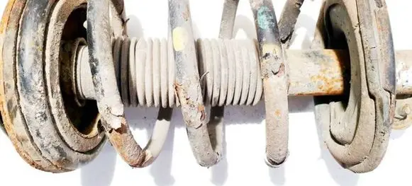 Front coil spring