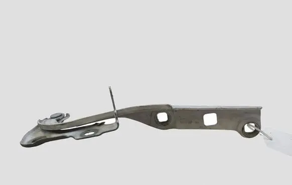 Opel Astra K Engine bonnet/hood hinges 39032150