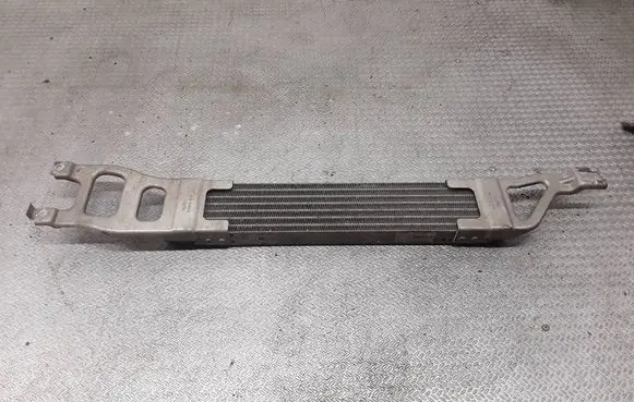 Mercedes-Benz B W245 Transmission/gearbox oil cooler A1695000200