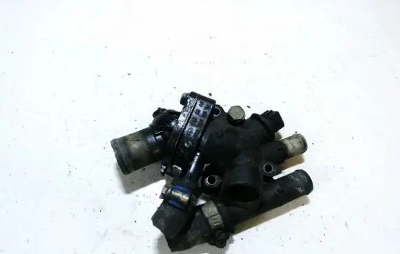 Renault Laguna II Engine coolant pipe/hose 7700866730