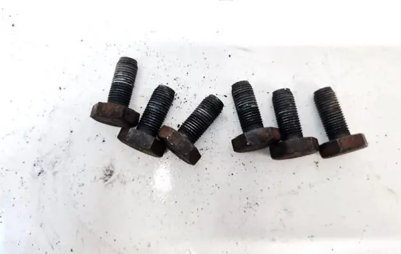 Renault Scenic I Nuts/bolts 