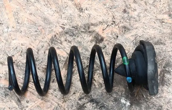 Rear coil spring