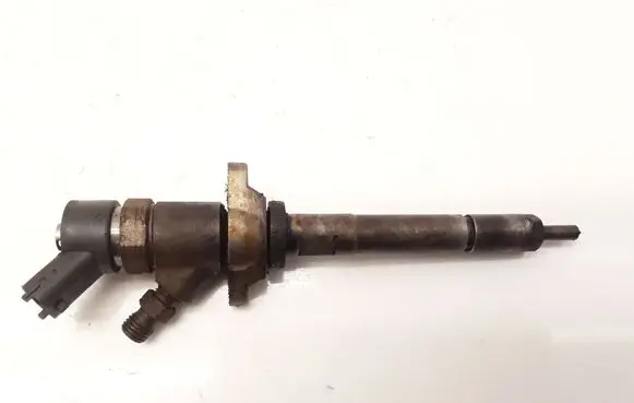 Citroen Berlingo Fuel injector 0445110239