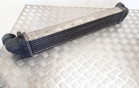 Mercedes-Benz A W169 Intercooler radiator A1695000000